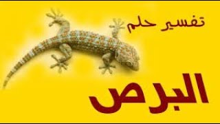 ملكة الأحلام l تفسير رؤية البُرص في الحلم مع مفسرة الأحلام صوفيا زاده