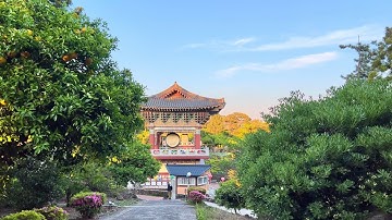 Jeju Olle Trail Route 8 [1] walk in the port at sunset • Yakcheon-sa Temple【4K HDR】