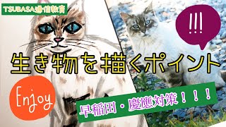 【絵画描き方！】生き物を描くポイント！生徒さんの作品より。小学校受験　早稲田　模写