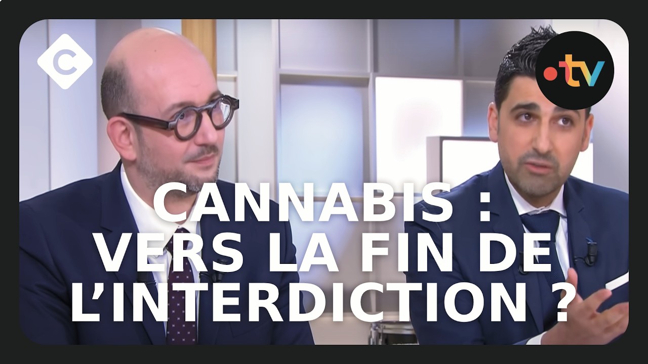 Cannabis : vers la légalisation en France ? - C à Vous