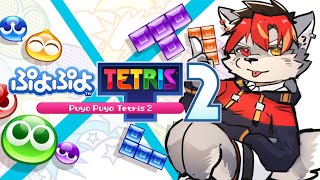 【縦画面配信】今夜はぷよテト練習！！！！【ケモノVtuber】 #shorts #ぷよテト2