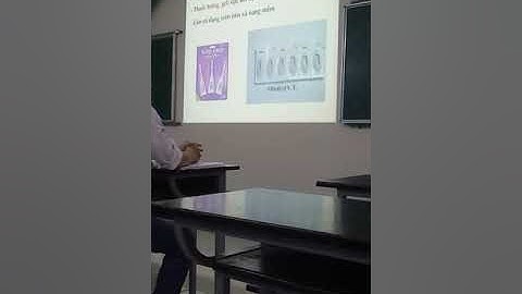 dược lâm sàng :các đường đưa thuốc vào cơ thể.  dạng thuốc và cách dùng p2