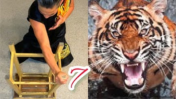 learning kung fu at small space / tiger claw , creative kung fu / 虎拳