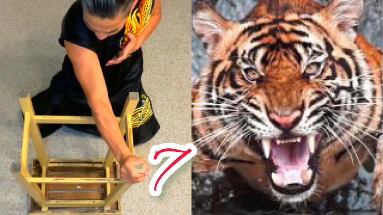 learning kung fu at small space / tiger claw , creative kung fu / 虎拳