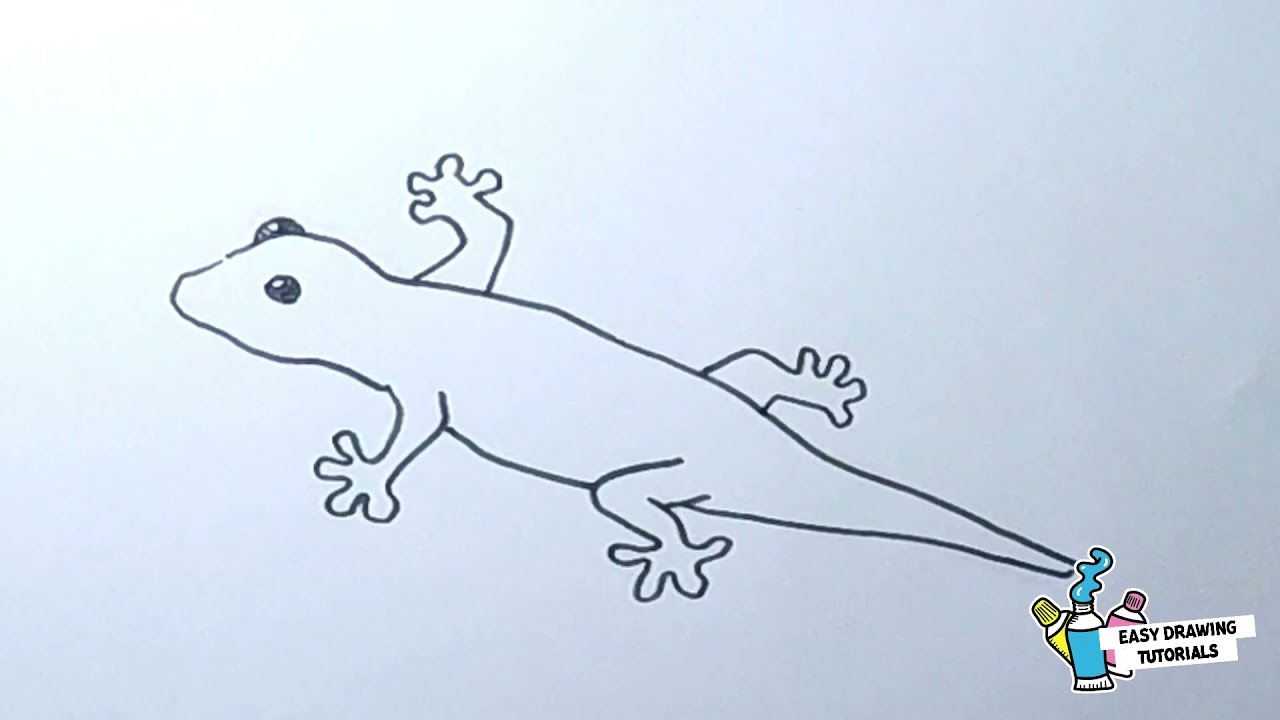 How to Draw Lizard Step by Step - YouTube