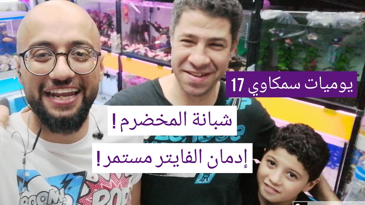 يوميات سمكاوي 17 - شبانة المخضرم - إدمان الفايتر مستمر !