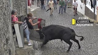 TOURADA Feteira Mercês 28-9-2019 Ganadeiro FP