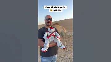 تعرضنا لهجوم شربل النجار Shorts 