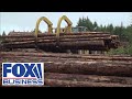 The grit and dedication in lumber production