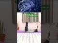 5 Yog Asan &amp; Pranayama for Stress Relief | Balasana, Vipreetkarani, Bhramari