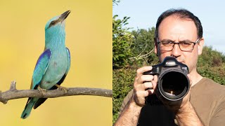 How to Use Aperture Priority Mode for Wildlife Photography (Including Auto ISO)