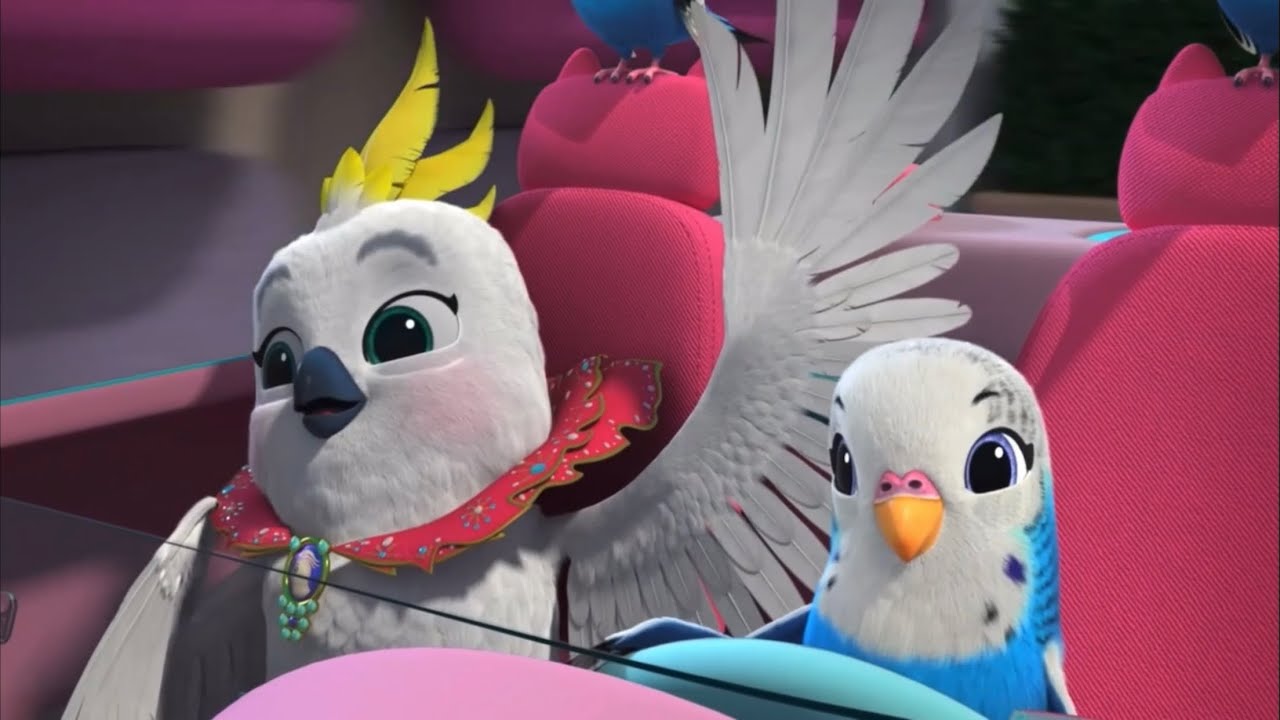 this-bird-loves-to-fly-song-superkitties-youtube