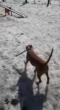 youtube.com