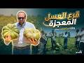 كنز مخفي في مصر يوفر لنا عمله صعبه و حققنا فيه انتاجيه غير مسبوقه نجومي