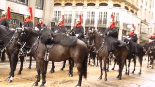 The Blues and Royals. Lord Mayor's Show 2015