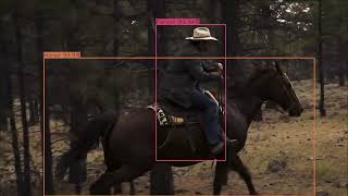 Object Detection with Detection Transformer (DETR) | PyTorch | Deep Learning | Computer Vision