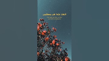 ارح_سمعك🎧😴 تلاوة من سورة يس ||بصوت القارئ: #محمد_آل_نعيم