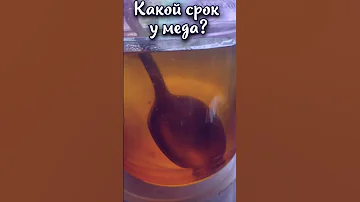 Какой срок годности у меда? #shorts