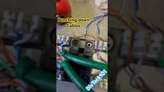 Famous Punching down some cables #shorts Profile