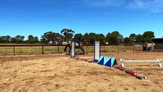 Peach Bellini - Flatwork Oct 2020