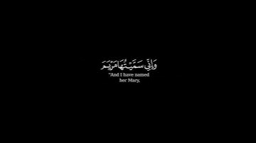 كرومة شاشة سوداء بصوت #عمر_عبدالعزيز  #سورة_آل_عمران