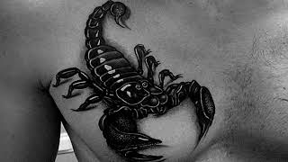 Timebandit - Scorpion Tattoo