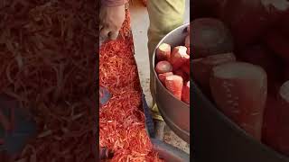 Carrots Cutting Machine | Carrote Cutting carrots carrotscutting