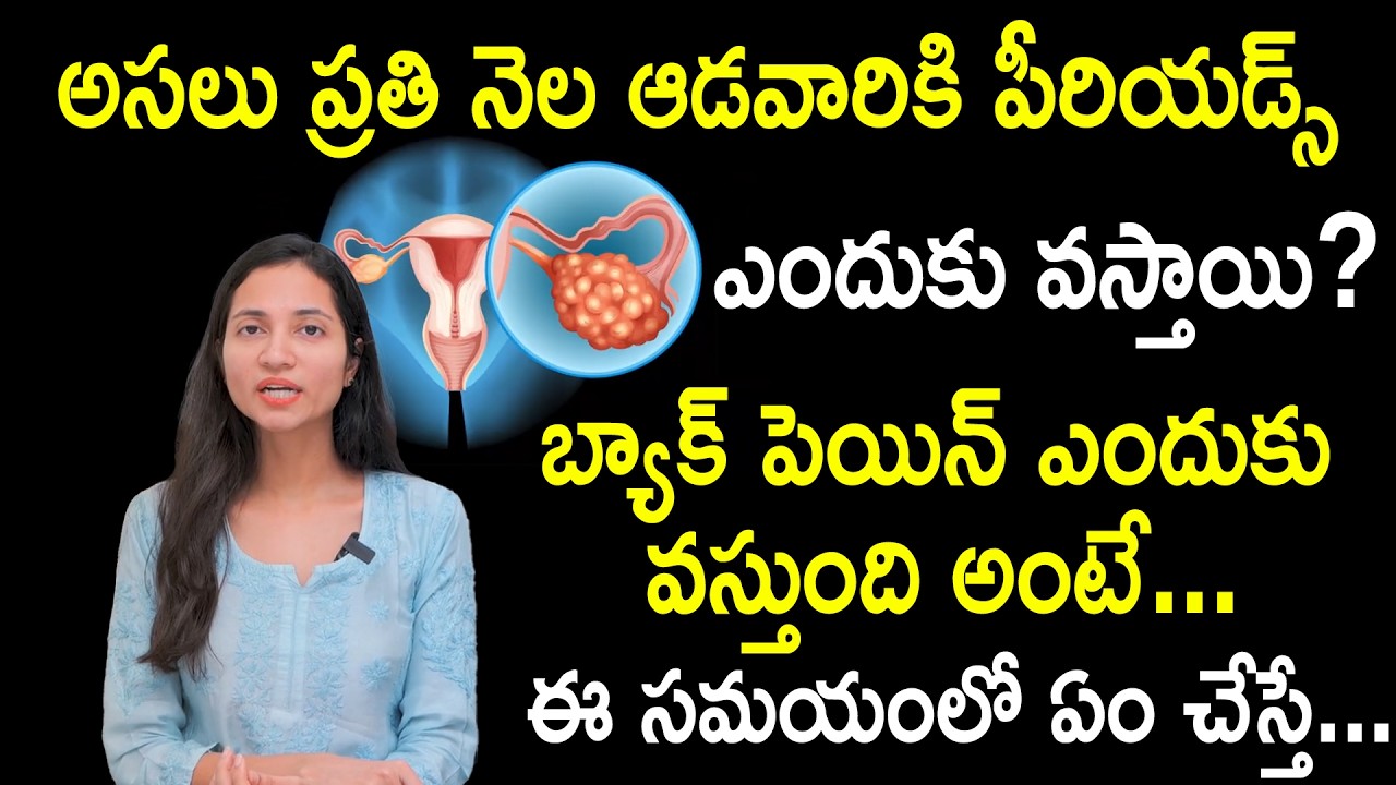 అసలు ప్రతి నెల ఆడవారికి పీరియడ్స్ ఎందుకు వస్తాయి? : Why Do Women Have Periods | Dr Maunica