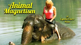 Animal Magnetism (2016) - Official Movie Trailer