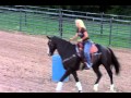 Exercice pour un cheval agressif