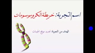 خريطة الكروموسومات l ثانوية 122 مقررات l