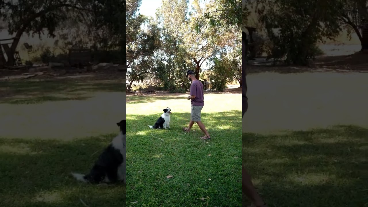 Делайте это правильно… 