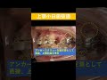 出っ歯│歯科矯正用アンカースクリュー│上顎前突│歯列矯正│#shorts