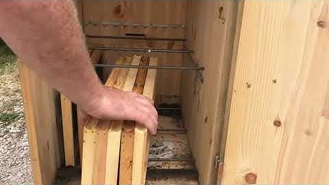 Snake in the AZ Hive