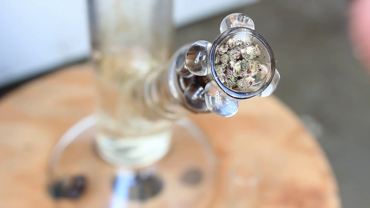 Mr Nice Cannabis Close Up Purple Mr Nice 1080p