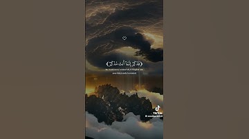 أَفَلَا يَنظُرُونَ إِلَى الْإِبِلِ كَيْفَ خُلِقَتْ#سوره الغاشيه#بصوت عبد الرحمان معسد