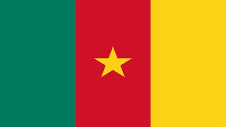 Flag Of Cameroon | Mood Light | BRM | SD | HD | 3D | 10 Hours screenshot 4