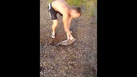 Ауха !!!