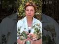 Что делать, если ПОВТОРЯЮТСЯ одни и те же СИТУАЦИИ? #shorts #просветление #осознанность