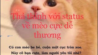 Thả thính với status về mèo cực dễ thương #cute #cats #cat #meow ...