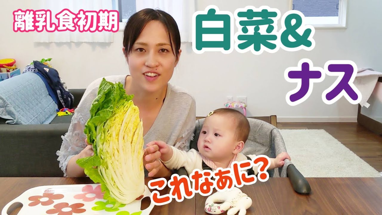 離乳食初期 はじめてのナス 白菜 Youtube