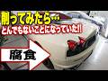 カウンタックの次はF430!フェラーリのクォーターパネルを削ってみたら…中に潜む衝撃のサビと恐怖の裏側【第1話:錆確認編】