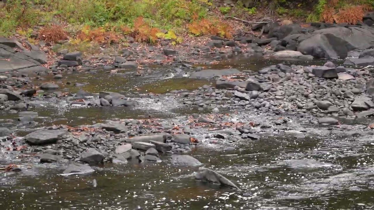 Oxtongue River-Ragged Falls Provincial Park