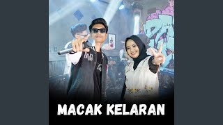 Download Lagu Macak Kelaran (feat. Tadeus Lavora) MP3 Download Lagu Macak Kelaran (feat. Tadeus Lavora) MP3