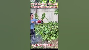 Máy cắt tỉa cây cảnh tỉa hàng rào ht230.#maytiacanh #maytiache #máytỉacànhnhậtbãi #ht230 #maycatco