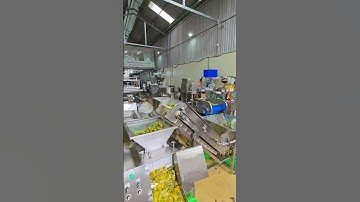 🌿 DÂY CHUYỀN RỬA & ÉP CHANH, TẮC – TECH GARDEN. 📞 Zalo/WhatsApp: +84 935 911 775 (Trần Trinh).