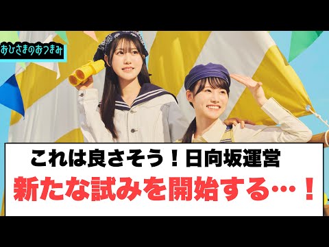 This Looks Good Hinatazaka Management Starts A New Venture Hinatazaka46