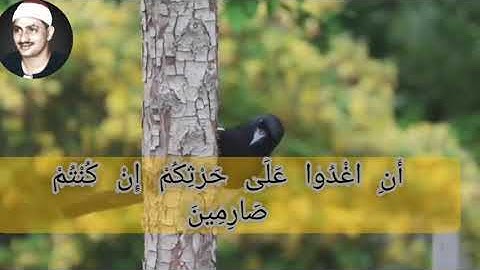 سورة القلم بصوت المنشاوي رحمه الله  تلاوة هادئة