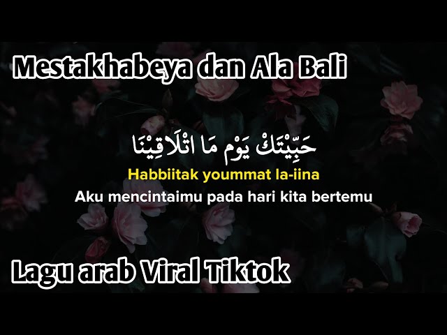 Haga Mestakhabeya (habbitak yaumatlaqina) x Ala Bali Viral TikTok (Lirik Arab, Latin dan Terjemahan) class=