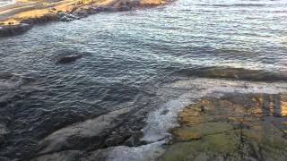 Pandora I won´t look back